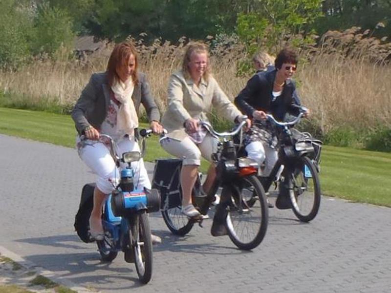 Giethoorn Solex Tour