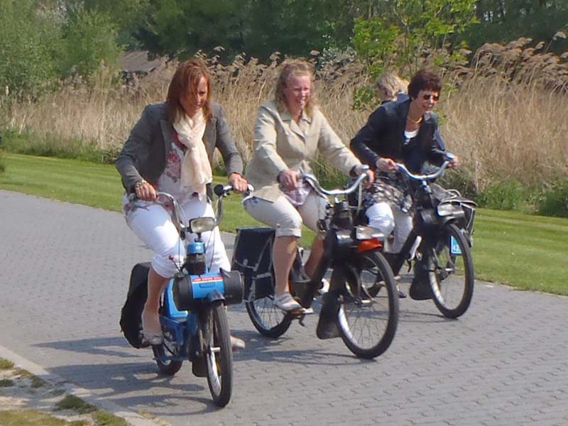 Solex Puzzel Arrangement